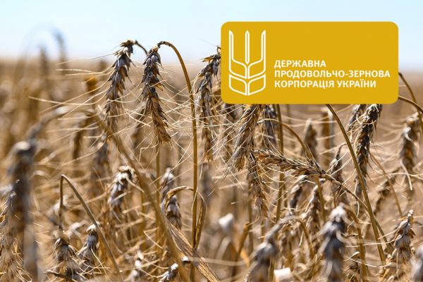 The State Food and Grain Corporation of Ukraine (SFGCU)