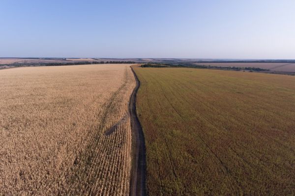 Farmland in Ukraine