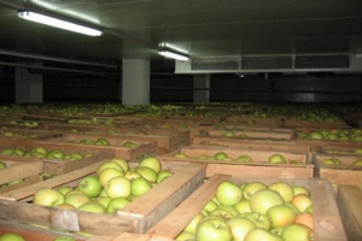 T.B.Fruit наращивает объемы производства и увеличивает мощности хранения продукции