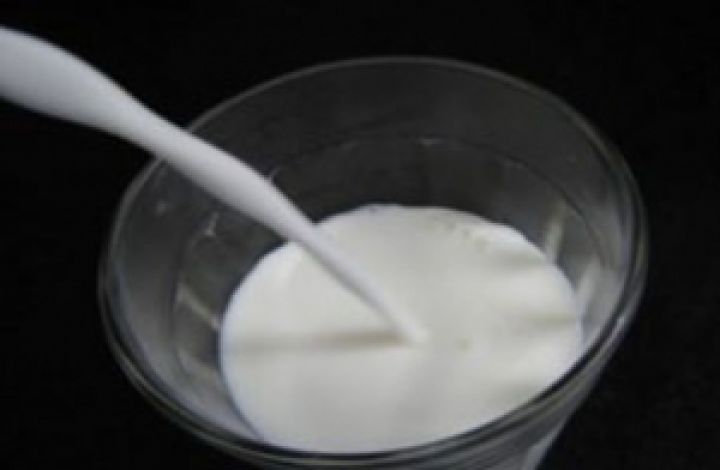 Хорваты возмущены низкими ценами на закупку молока