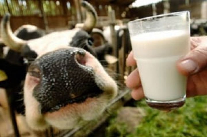 До 2020 г. Россия намерена полностью обеспечивать себя молочной продукцией