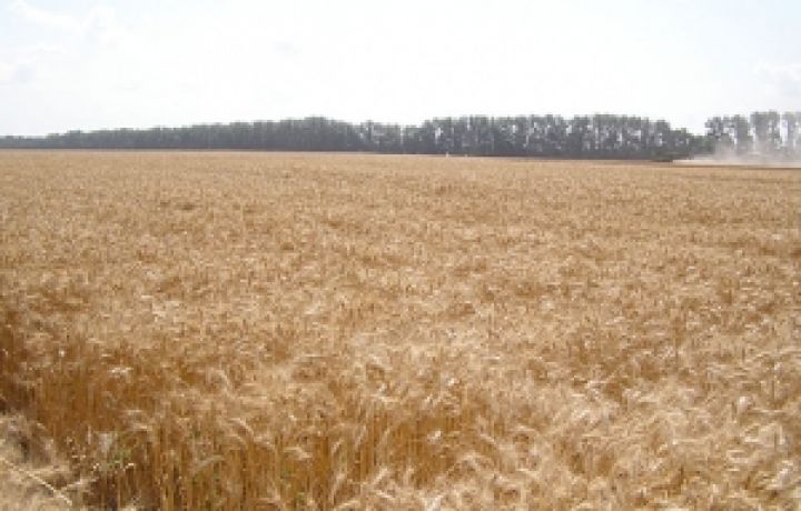 Днепропетровщина станет партнером Канады в проекте по созданию зерновых кооперативов