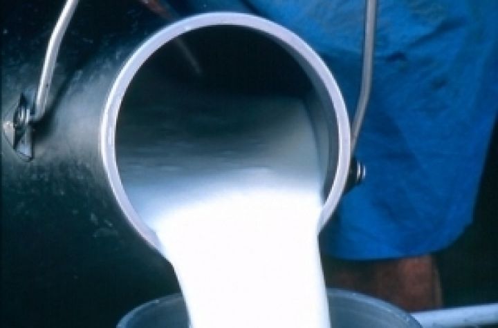 В России принималось непроверенное молоко
