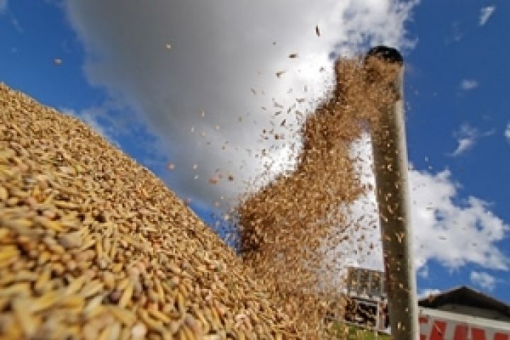Запасы зерна в Украине на 70% превышают прошлогодние