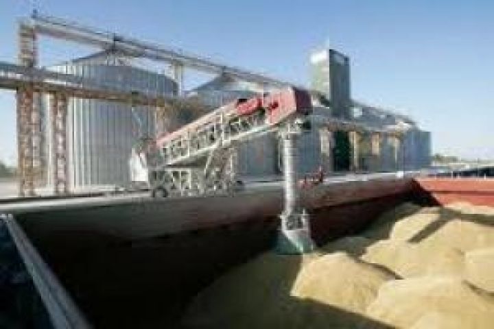 Экспорт зерна