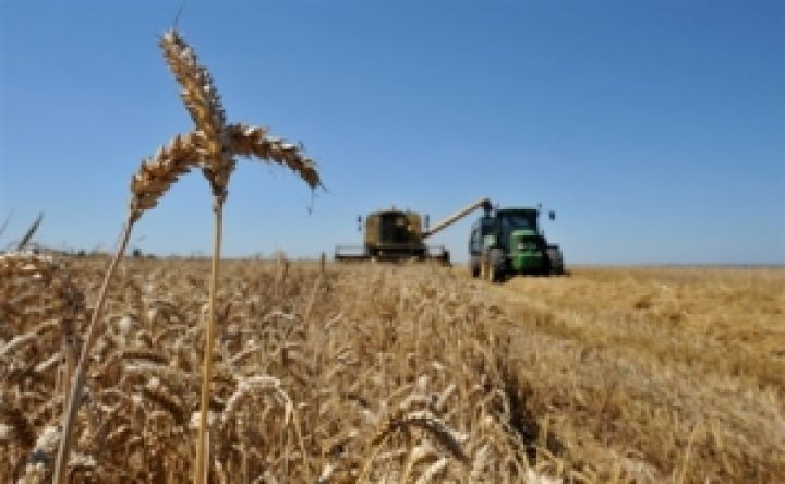 Экспорт зерна увеличился в 2,2 раза