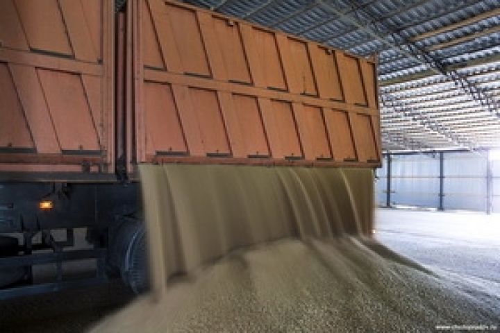 Мироновский хлебопродукт намерен собрать 1,2 млн. тонн зерновых 