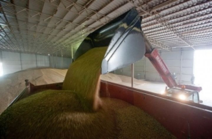 Предложение зерновых на украинском рынке превысит 63 млн. тонн в 2012 году