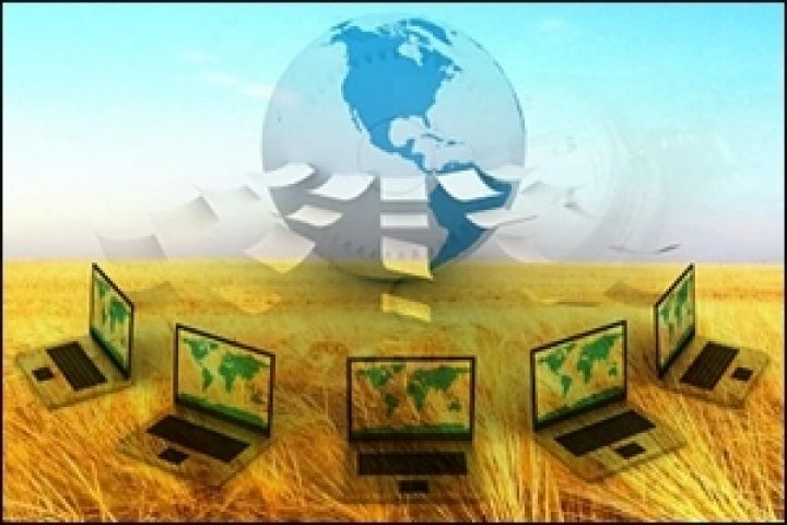 Зерно Причерноморья 2012: прогнозы урожая зерновых и масличных культур