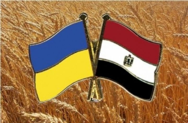 Украина увеличила экспорт в Египет почти втрое
