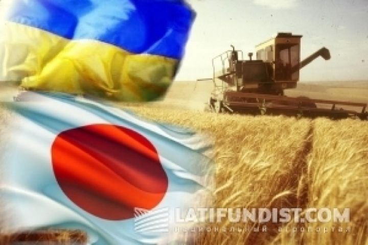 Япония недовольна украинской кукурузой старого урожая 
