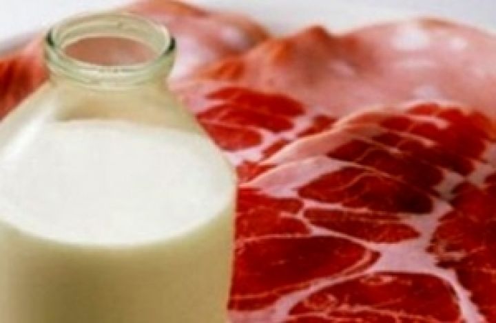 Украина и Беларусь договорились о пиве и мясомолочной продукции