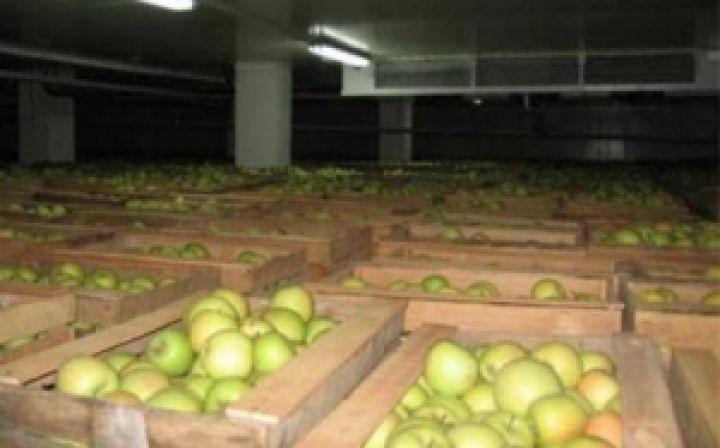 На Винниччине открыли холодильник со специальной средой для хранения фруктов