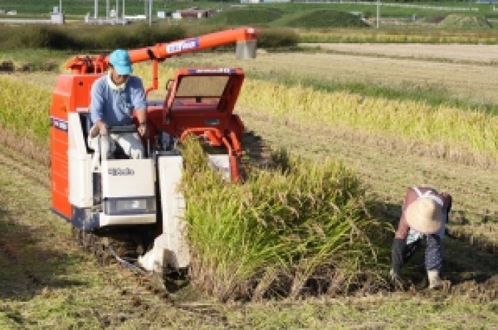 Молдавские фермеры получат от Японии сельхозтехнику на сумму 1,6 млн. долларов