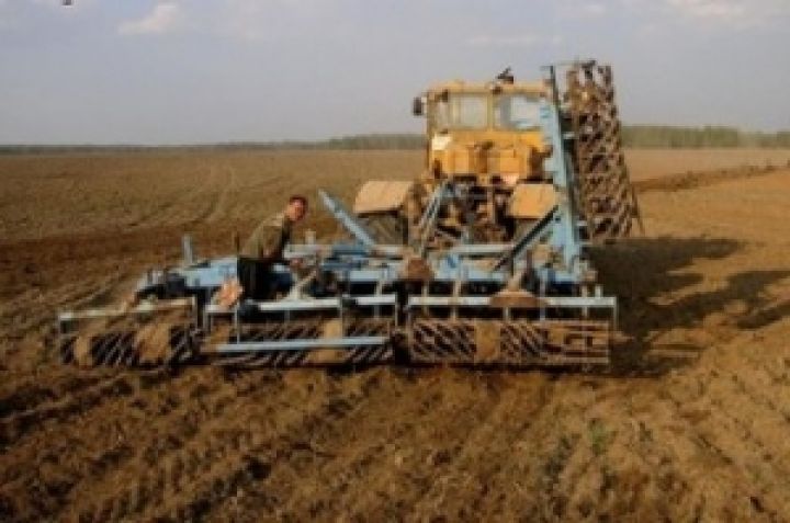 Аграрии Тернопольщины завершили сев ранних зерновых