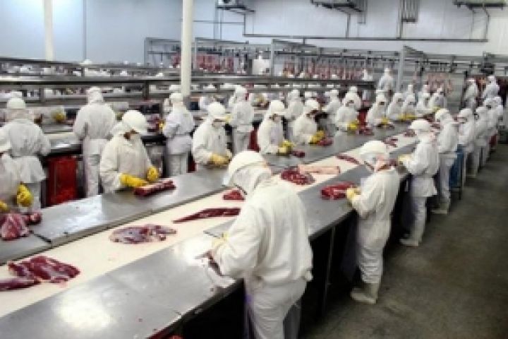 Индия станет ведущим мировым экспортером говядины 