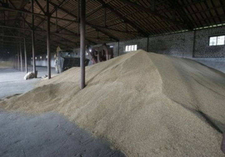 В этом году Украина закупит более миллиона тонн зерна