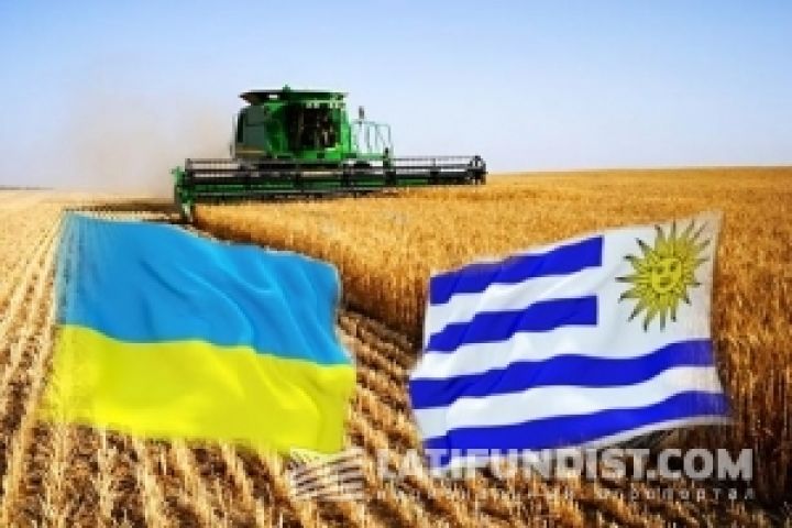 Украина намерена сотрудничать с Уругваем в сельском хозяйстве