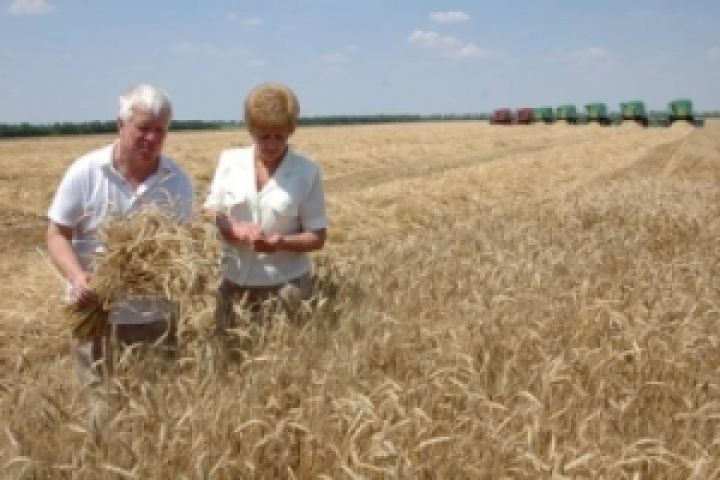 НИБУЛОН планирует увеличить посевы яровых под урожай-2012 до 40,1 тыс. га