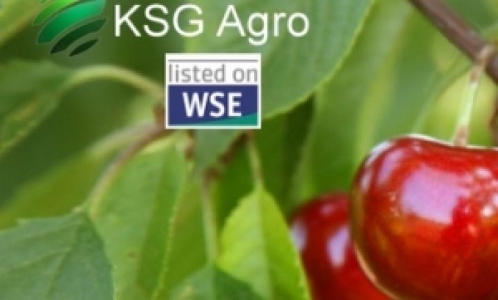 KSG Agro рассматривает возможность покупки компаний с земельным банком 33 тыс. га
