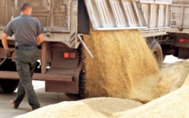Украина планирует экспортировать до 25 миллионов тонн зерна в новом маркетинговом году