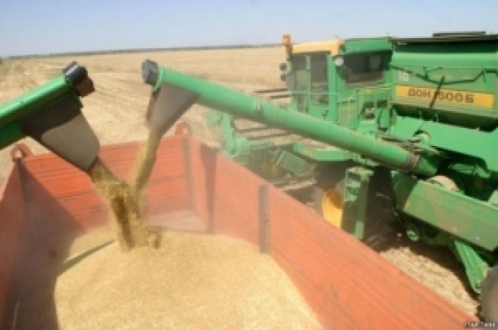 Хлеборобы Черкасской области собрали рекордный урожай зерновых