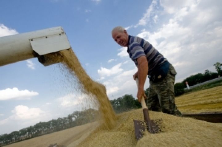 Российское зерно экспортируют в Азербайджан
