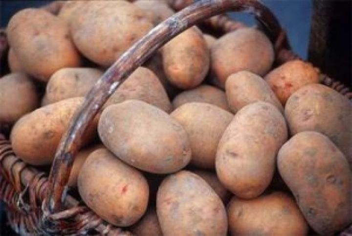 Цены на картофель низкие не только в Украине и России