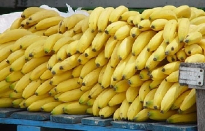 Экспорт бананов сокращается