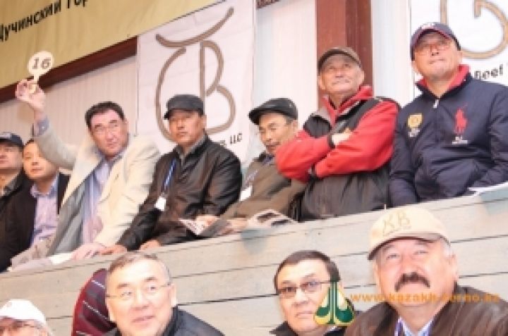 В Казахстане прошел аукцион скота