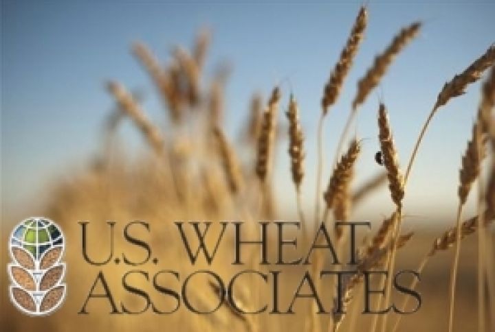 Пшеница может заменить кормовую кукурузу на мировом рынке