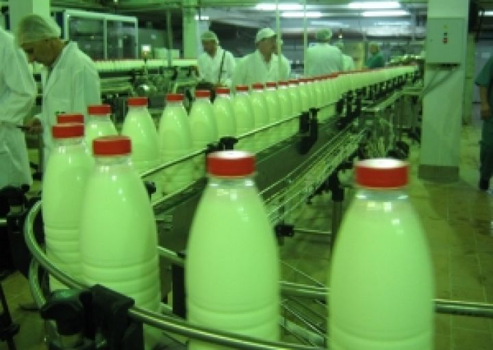 В Украине производство молока увеличилось на 3,2%
