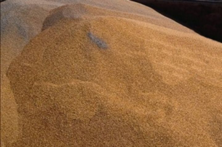 На Днепропетровщине бизнесмен присвоил 2200 тонн пшеницы