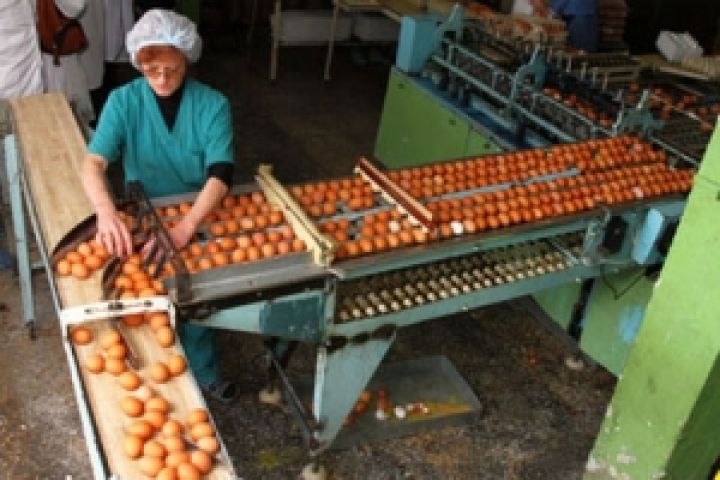 В марте производство яиц в Украине увеличилось на 23,7%