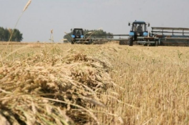 Минагропрод предложил возобновить сельскохозяйственные кооперативы