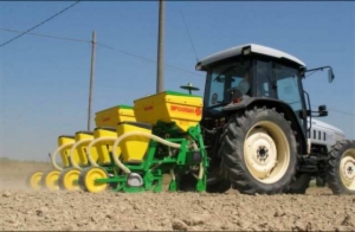 Украинские аграрии посеяли 3 млн. га кукурузы
