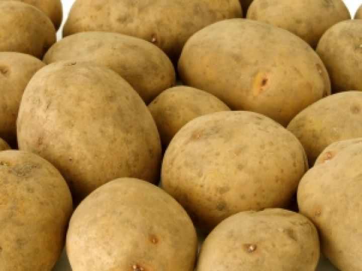 Египет начинает поставки картофеля в Россию