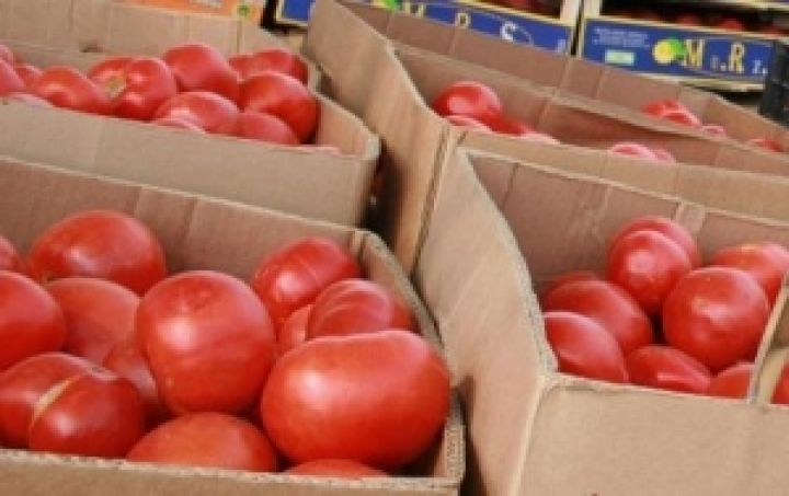 В Украину пытались ввезти зараженные испанские помидоры