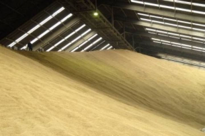 Средние закупочные цены на зерновые в Украине не изменились