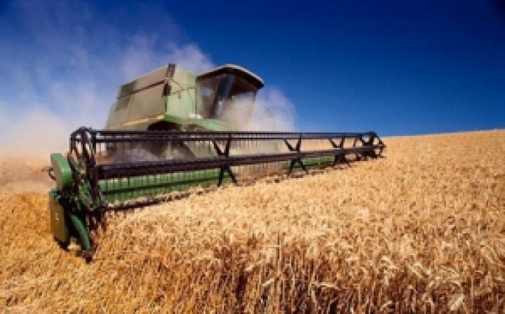 Украина готовит мировой рекорд по неурожаю пшеницы 