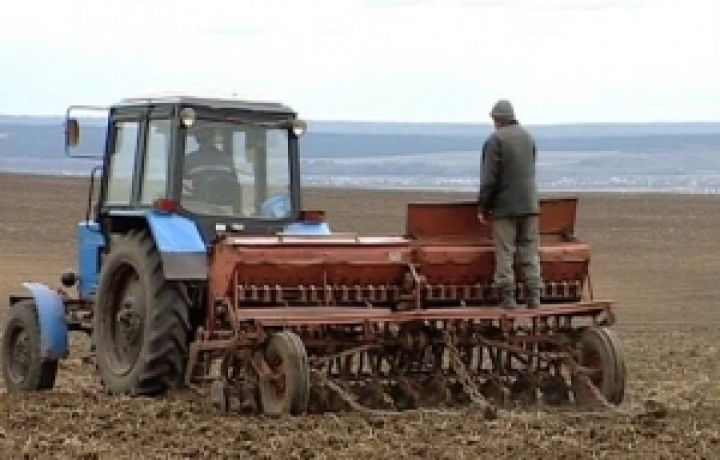Украина засеяла яровыми зерновыми 84% отведенных площадей