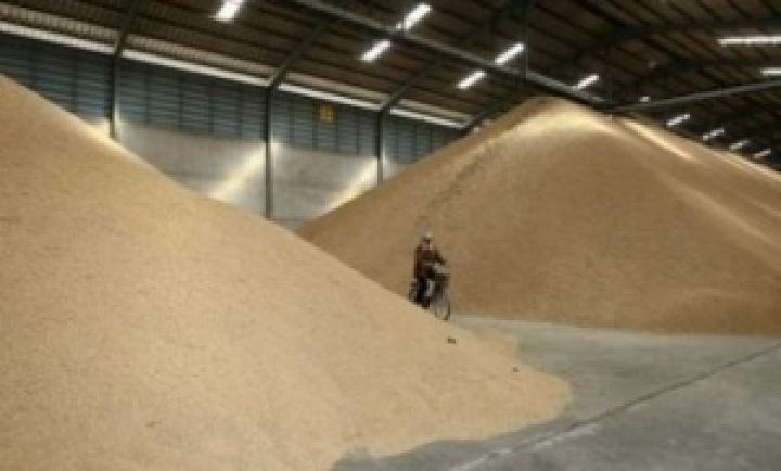 Украина к 7 мая экспортировала 18,4 млн. тонн зерна