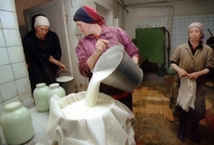 Аграрный фонд Украины начал закупки сухого молока и масла