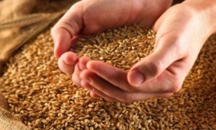 МЭРТ Украины предлагает отменить сертификацию зерна