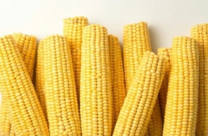 Мировые цены на кукурузу могут упасть в 2013-14 МГ 