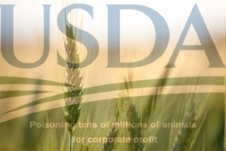 США прогнозируют сокращение урожая зерна в Украине