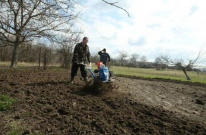 Херсонские фермеры переплачивают за аренду земли