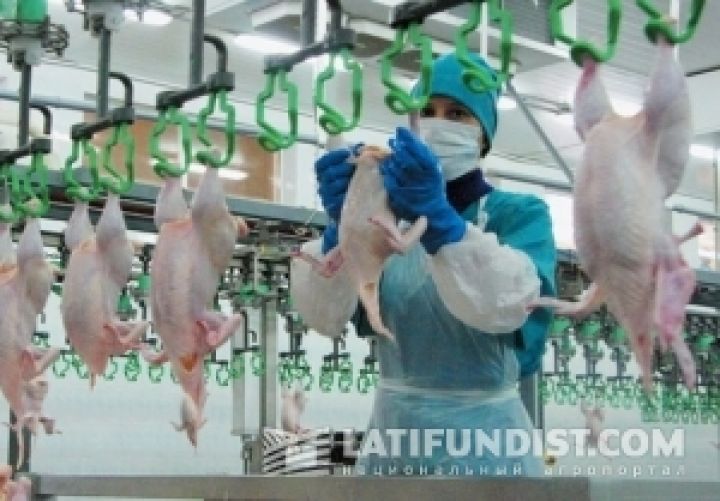 Производство всех видов мяса в Украине сокращается
