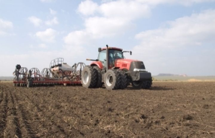 К 11 мая Украина засеяла яровыми зерновыми 8,3 млн. га