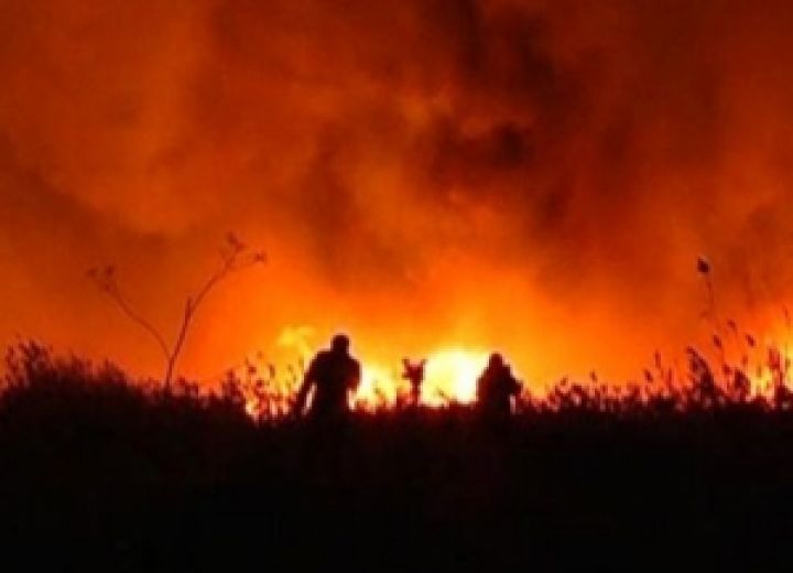 В Николаевской области горело зернохранилище